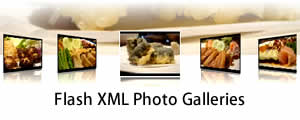 Flash Photo Gallery Flash XML Photo Gallery
