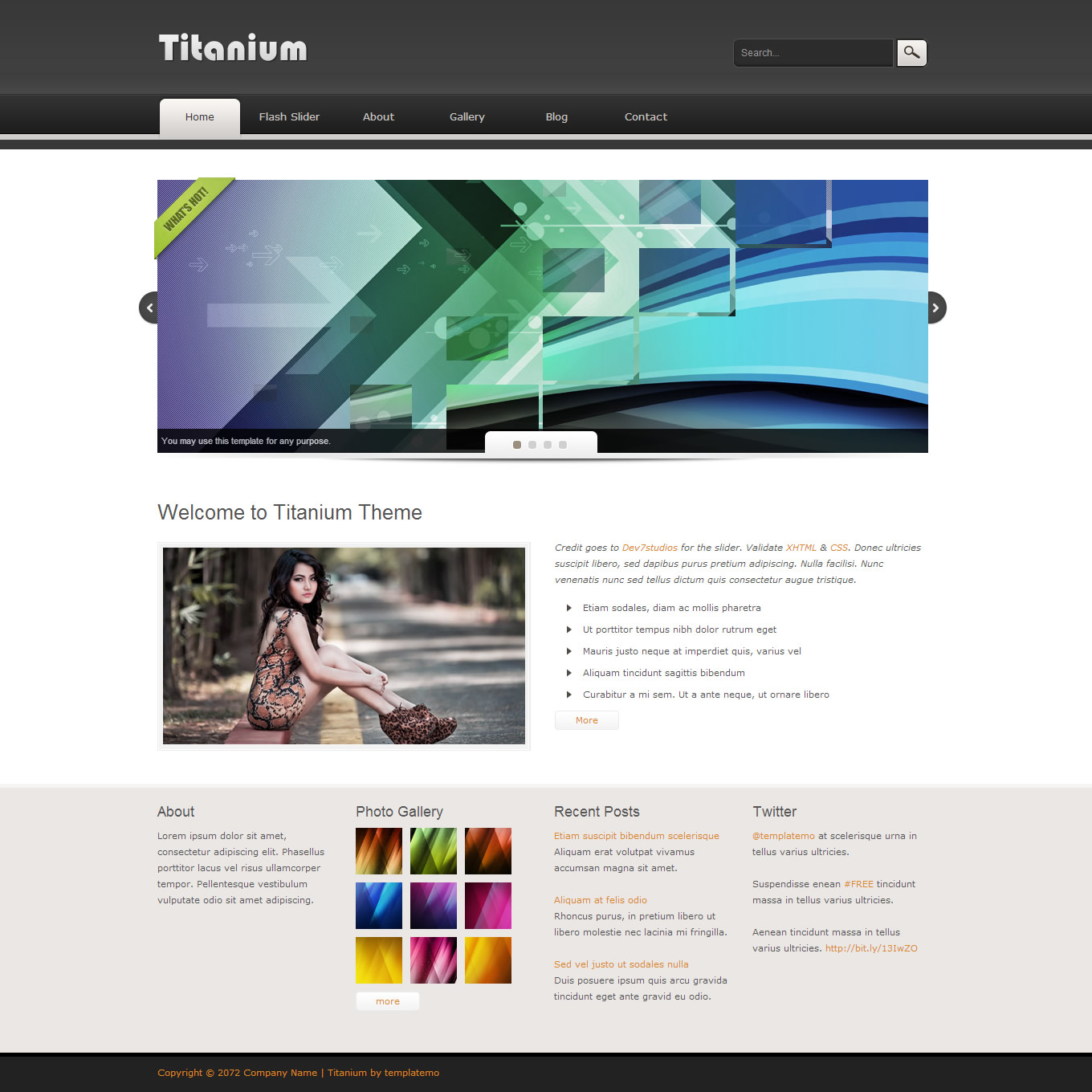 templatemo 372 titanium templatemo 372 titanium