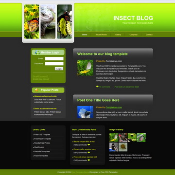 Insect Blog Template
